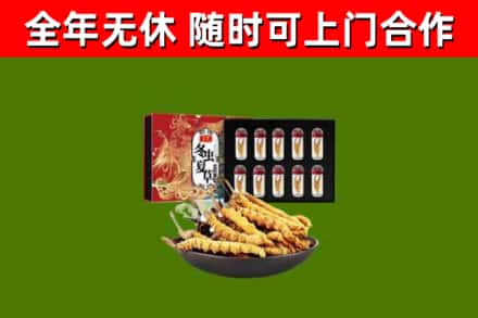 泰安回收冬虫夏草价格